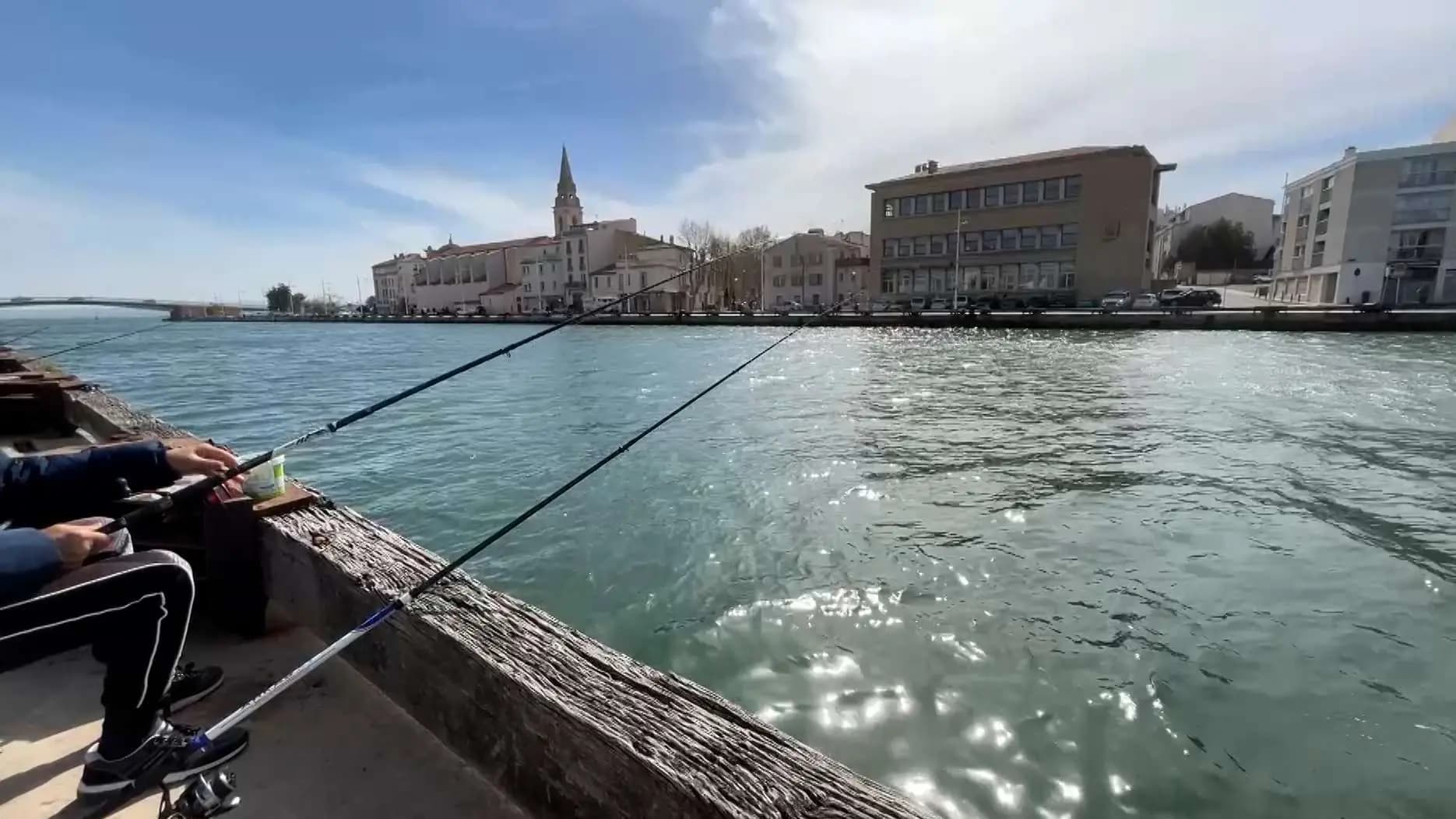 Pêche de loisir 2026 : Tout savoir sur l'enregistrement obligatoire RecFishing